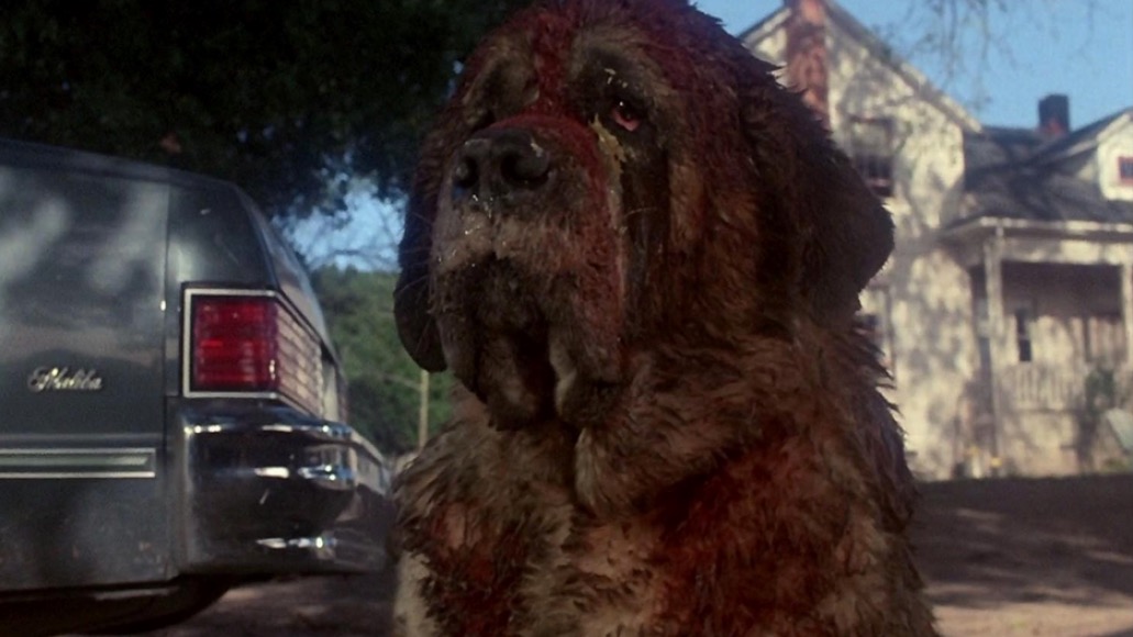 Kujō |: Los 10 villanos de películas más aterradores de Stephen King | Zestradar