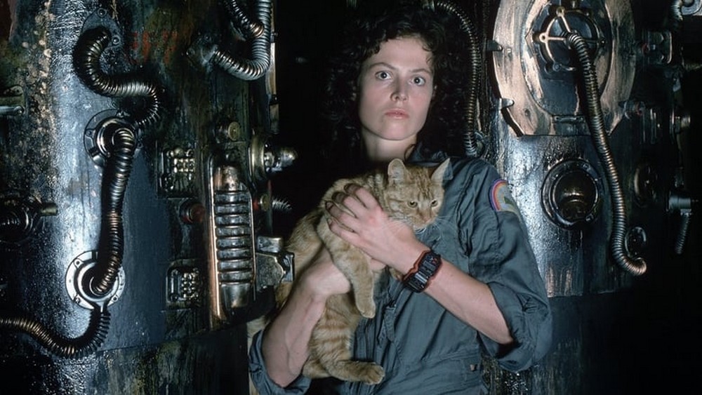 extranjero |: 7 mejores películas de extraterrestres de todos los tiempos | Zestradar