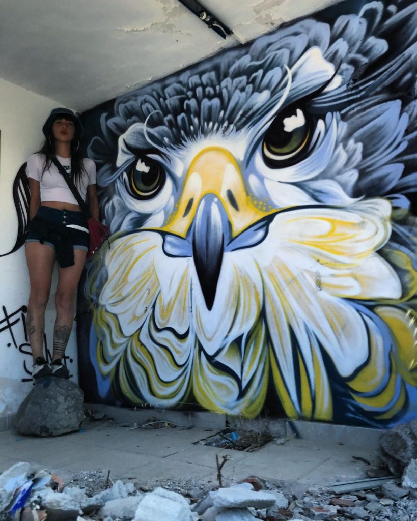 #5 Murales de aves fenomenales de Fio Silva |: Zestradar