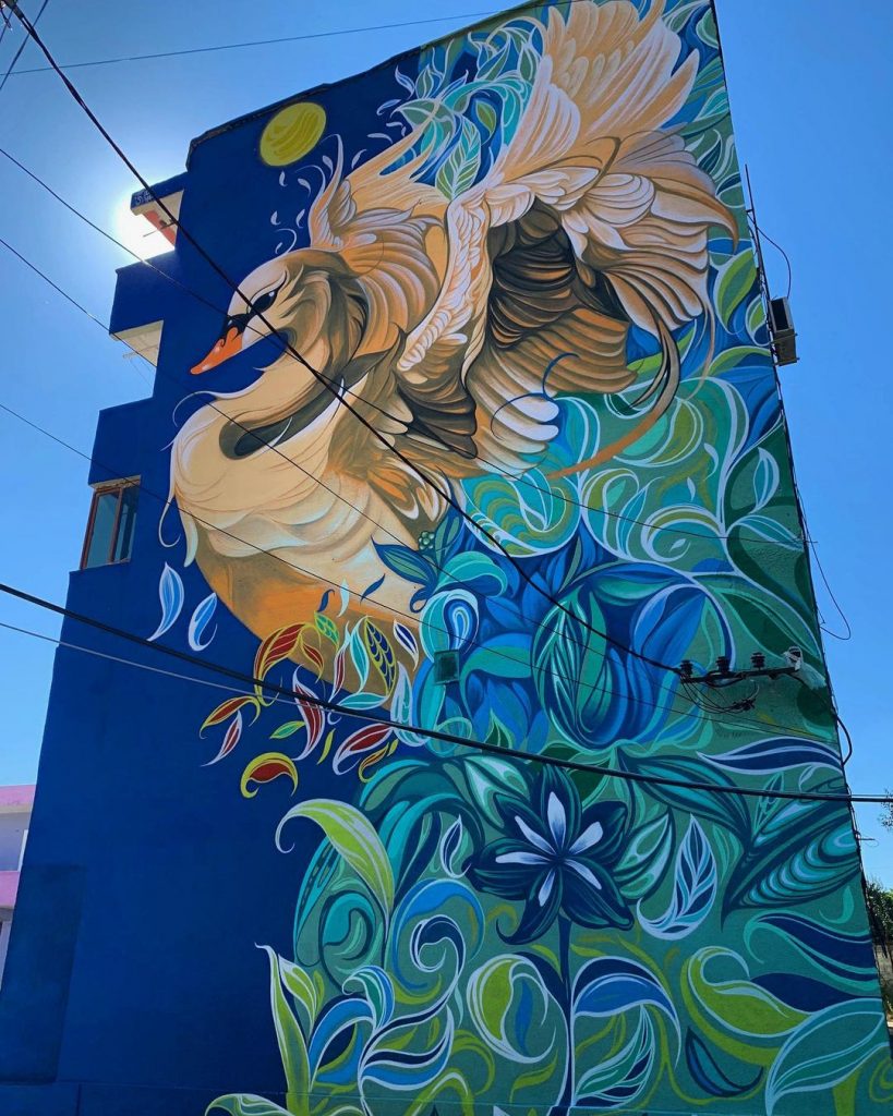 #8 | Murales de aves fenomenales de Fio Silva |: Zestradar