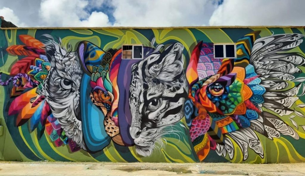 #10 | Murales de aves fenomenales de Fio Silva |: Zestradar