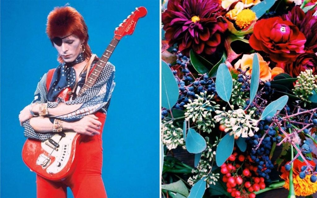 #4 | David Bowie como Flores | Zestradar