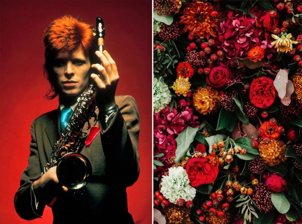 #8 | David Bowie como Flores | Zestradar