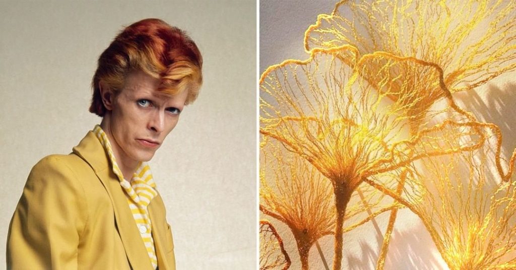 #10 | David Bowie como Flores | Zestradar