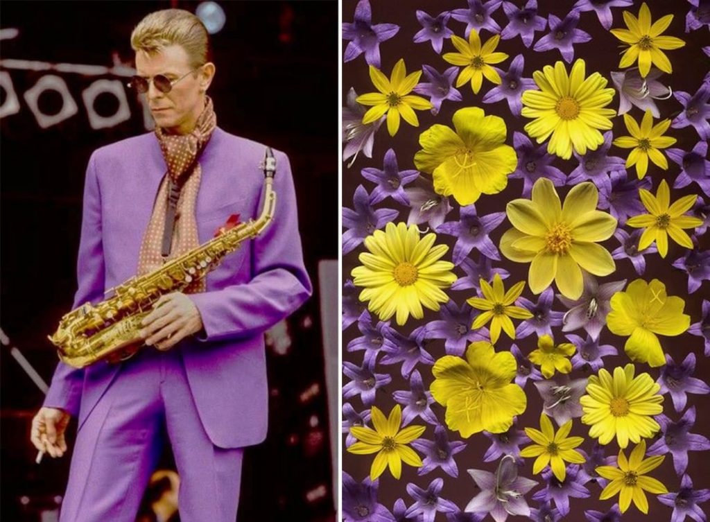 #9 | David Bowie como Flores | Zestradar