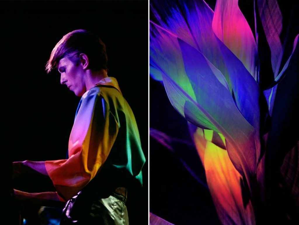 #12 David Bowie como Flores | Zestradar