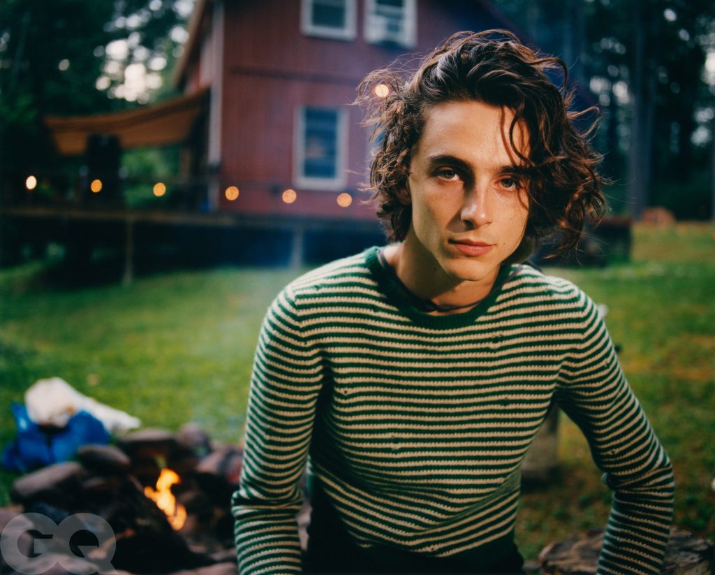 Timothée Chalamet |: Los 8 mejores actores de talla mundial menores de 30 años Zestradar