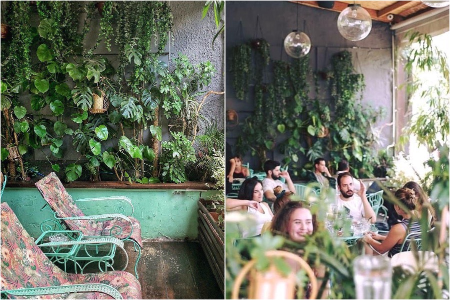 Loro azul, Atenas |: Los 8 cafés más bonitos de Grecia Zestradar