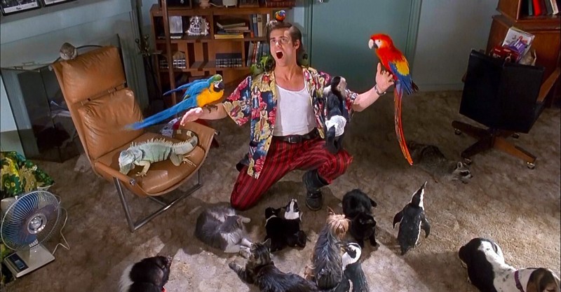 #2 Ace Ventura 3: Lo que sabemos hasta ahora | Zestradar