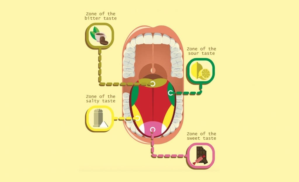 #3 | Mitos sobre nuestro cuerpo que ya han sido desmentidos Zestradar