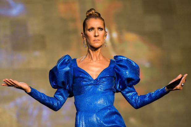 Céline Dion |: Los músicos más ricos del mundo |: Zestradar