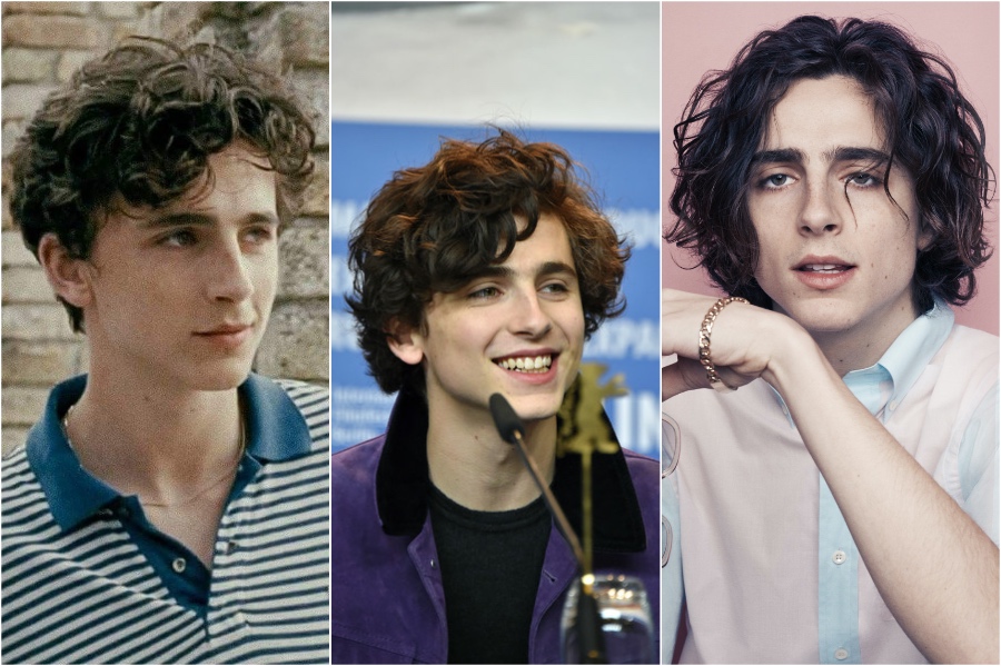 Timothée Chalamet |: 10 hombres famosos con el mejor cabello | Zestradar