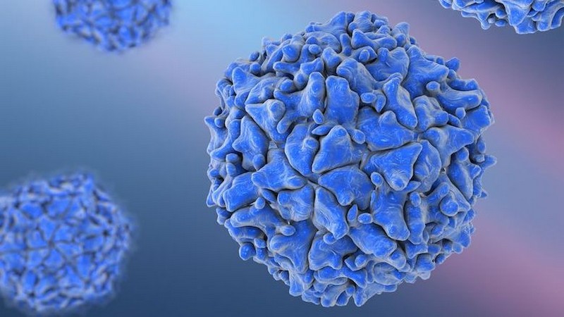 Poliomielitis | Se han creado virus y bacterias mortales en laboratorios. Zestradar