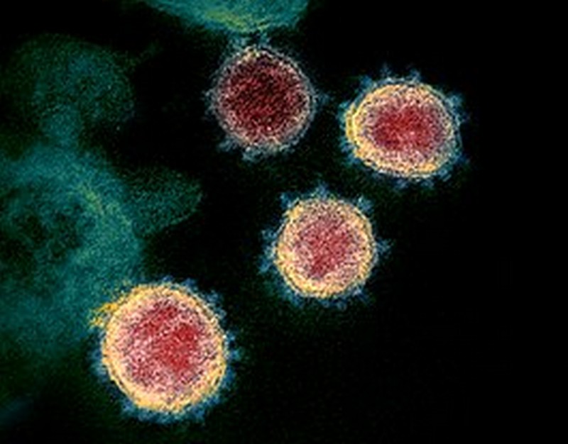 SRAS 2.0 | Se han creado virus y bacterias mortales en laboratorios. Zestradar