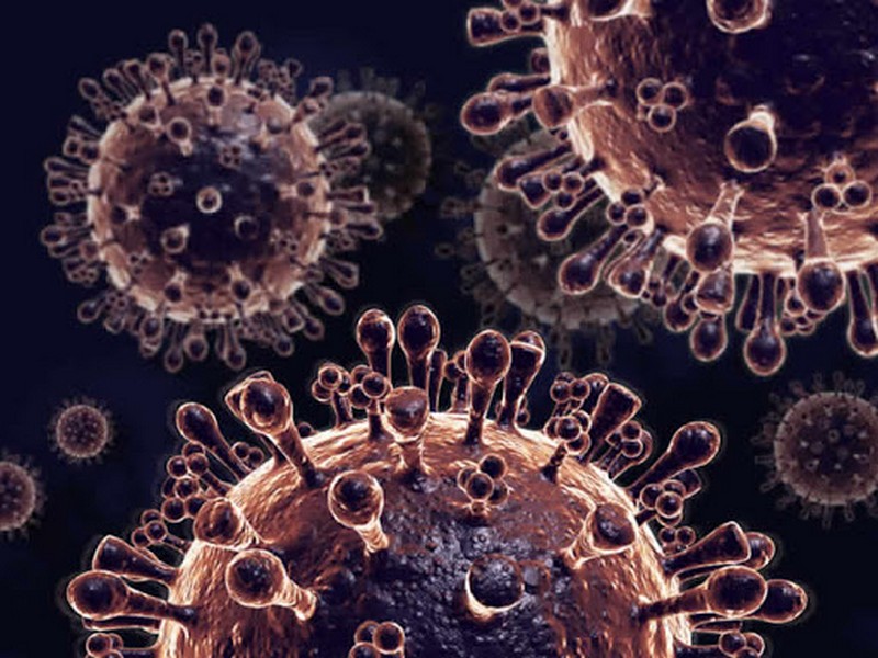 Gripe aviar | Se han creado virus y bacterias mortales en laboratorios. Zestradar