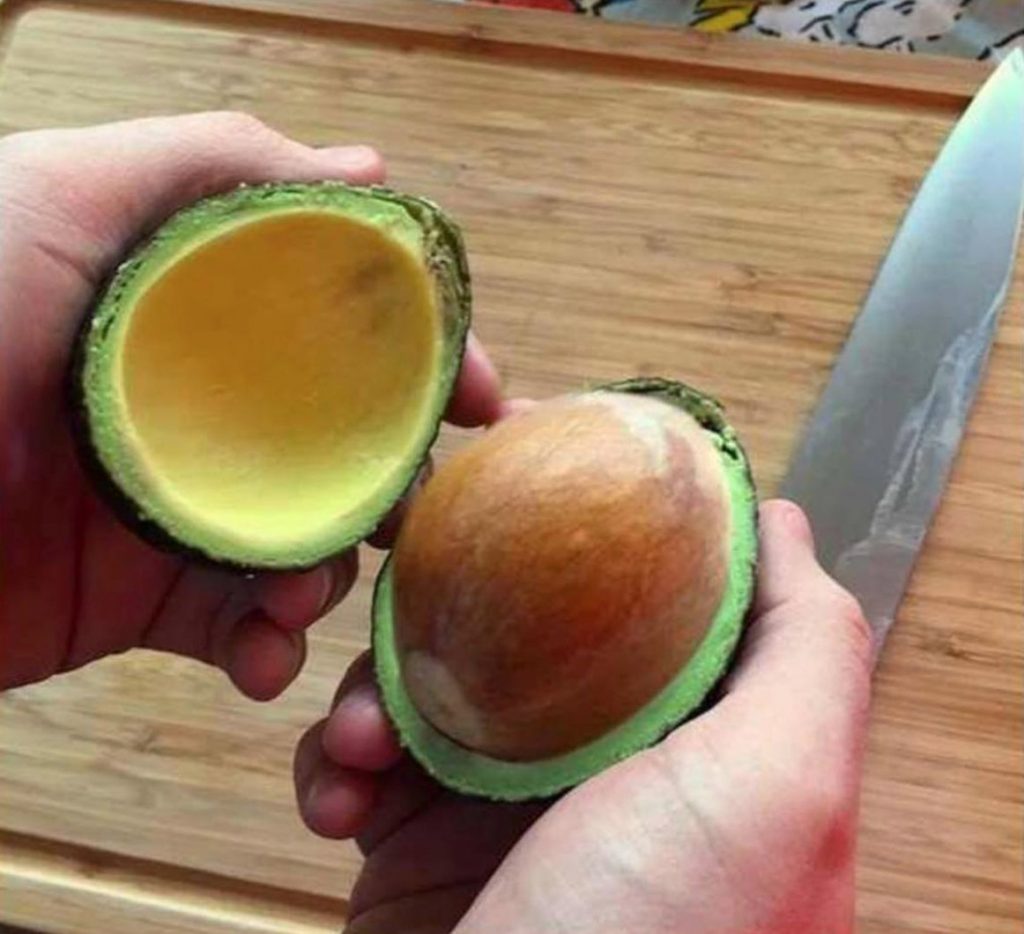 Aguacate: 9 frutas y verduras que se han transformado por completo en los últimos siglos | Zestradar