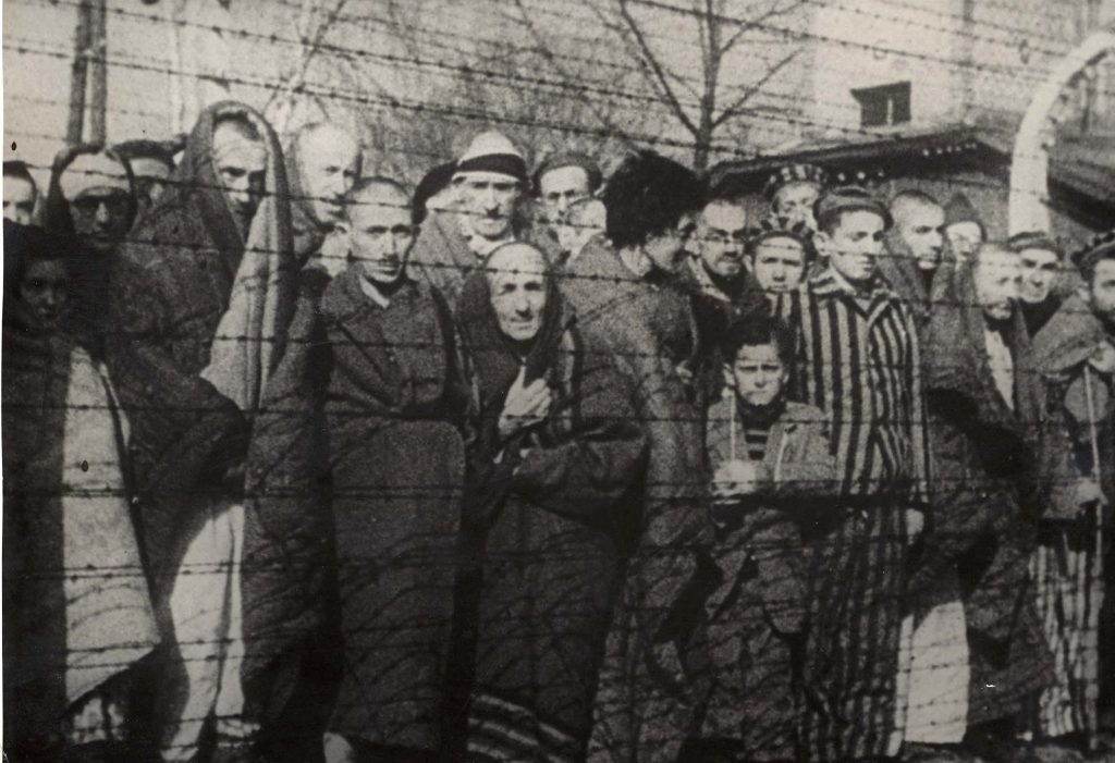 holocausto 8 Terribles Eventos y Hechos en la Historia Humana | Zestradar