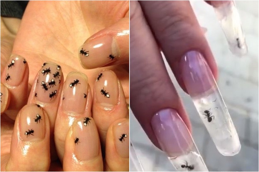 Arte de uñas de hormiga |: Las tendencias de arte de uñas más locas | Zestradar