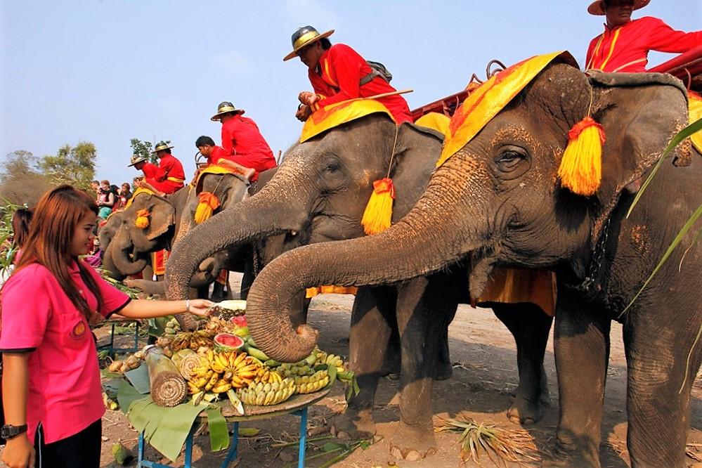 Elefante (Tailandia) |: 7 animales sagrados de todo el mundo | Zestradar