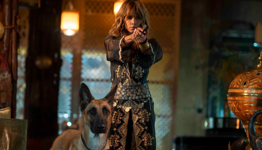 Halle Berry |: 5 estrellas femeninas que son duras en la vida real (y 5 que solo fingen serlo) | Zest Radar: