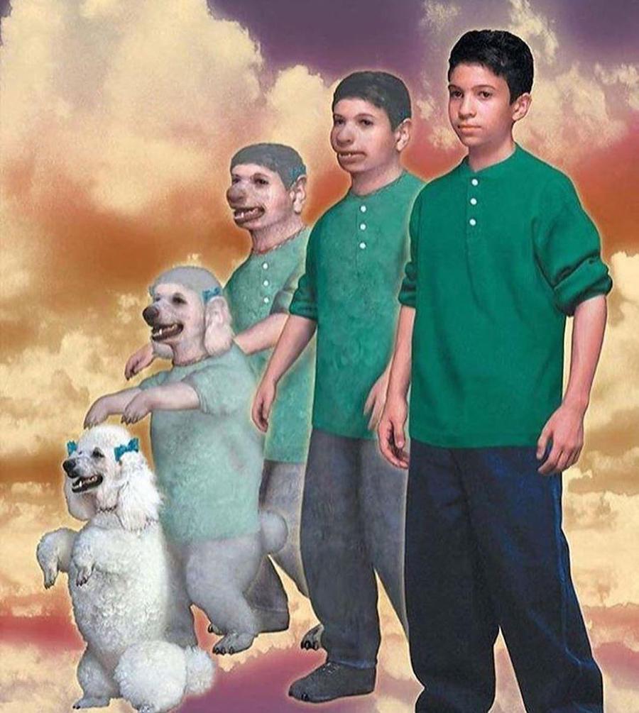 #3 | ¿Recuerdas los Animorphs de los 90? |: Zestradar