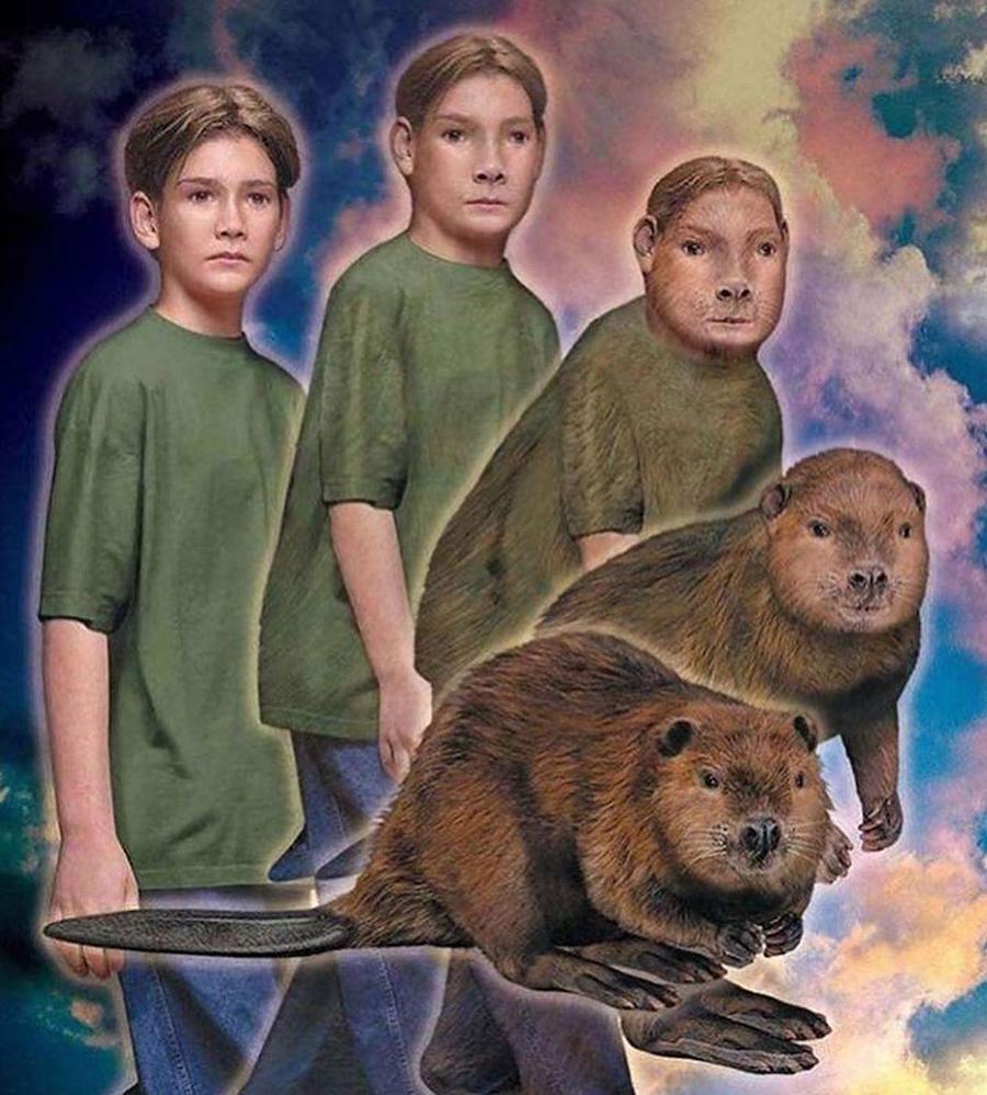 #4 | ¿Recuerdas los Animorphs de los 90? |: Zestradar