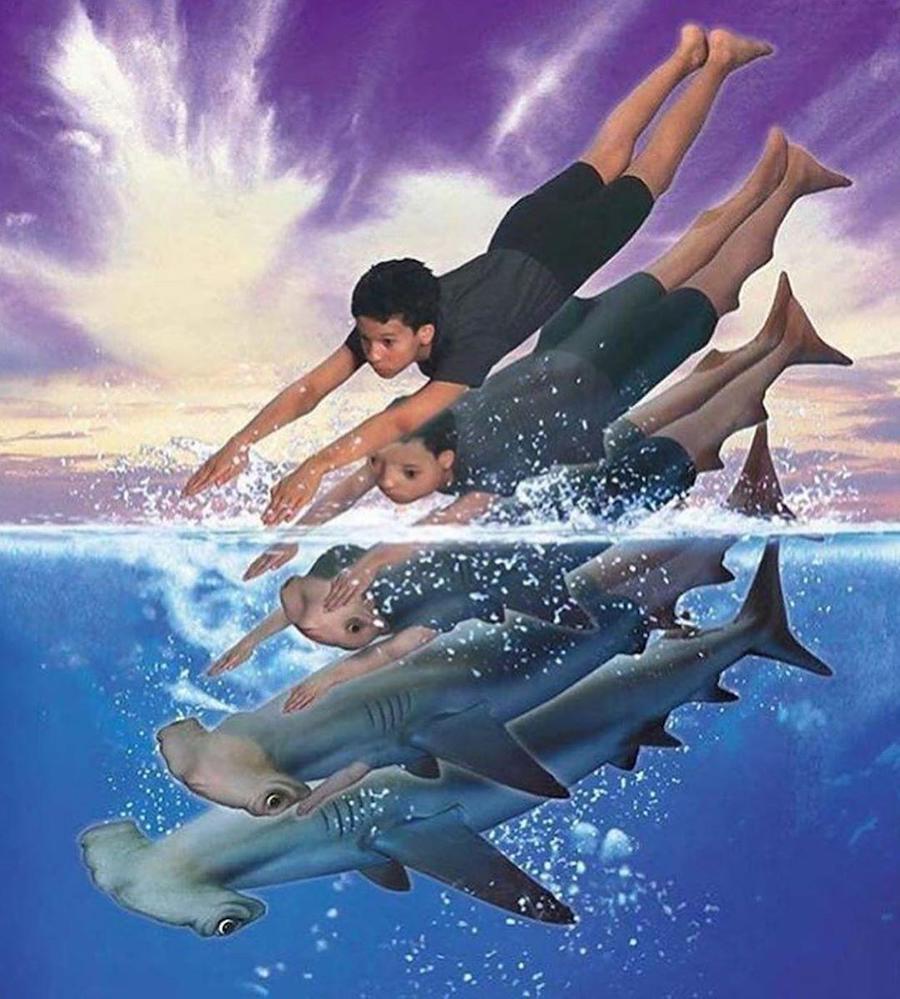 #8 | ¿Recuerdas los Animorphs de los 90? |: Zestradar