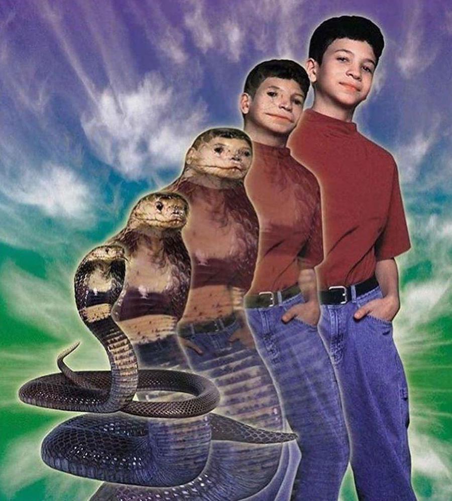 #9 | ¿Recuerdas los Animorphs de los 90? |: Zestradar