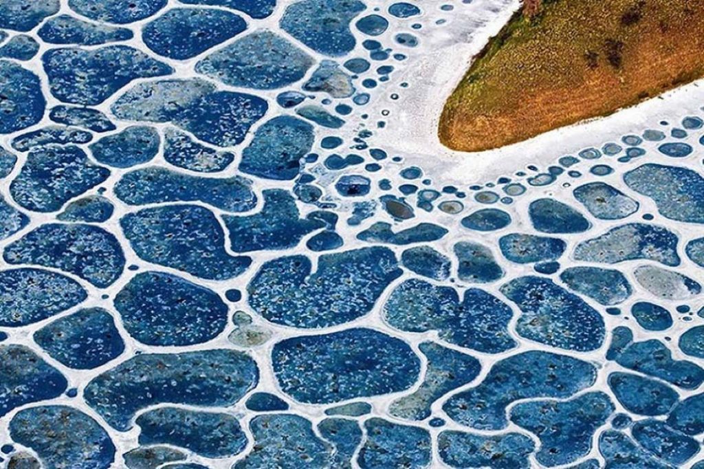 lago moteado |: 10 de los fenómenos naturales más surrealistas de la Tierra | Zestradar