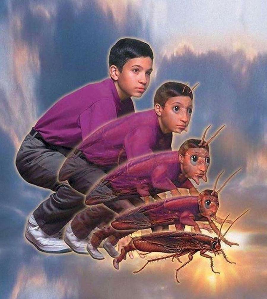 #1 ¿Recuerdas los Animorphs de los 90? |: Zestradar