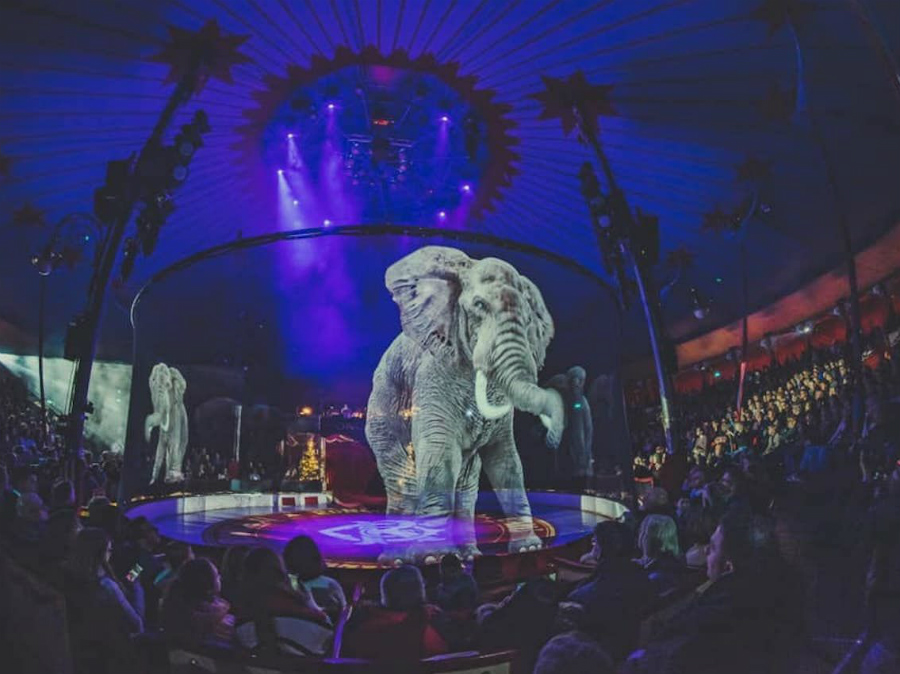 Circo alemán reemplaza animales reales con hologramas Zest Radar: