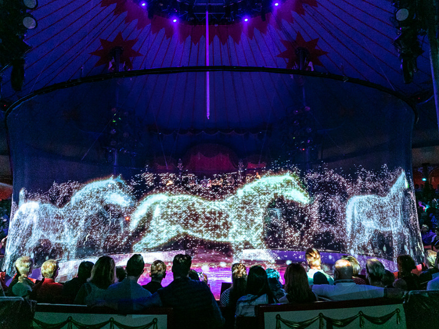 Circo alemán reemplaza animales reales con hologramas Zest Radar: