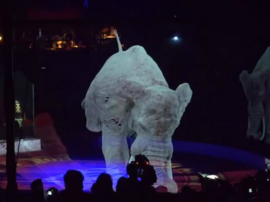 Circo alemán reemplaza animales reales con hologramas Zest Radar: