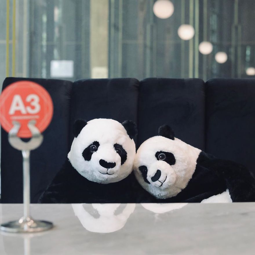 #2 Restaurante tailandés trae pandas a la mesa para promover el distanciamiento social | Zestradar