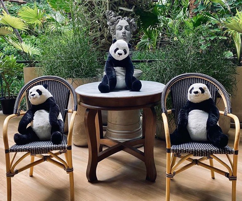 #7 | Restaurante tailandés trae pandas a la mesa para promover el distanciamiento social | Zestradar