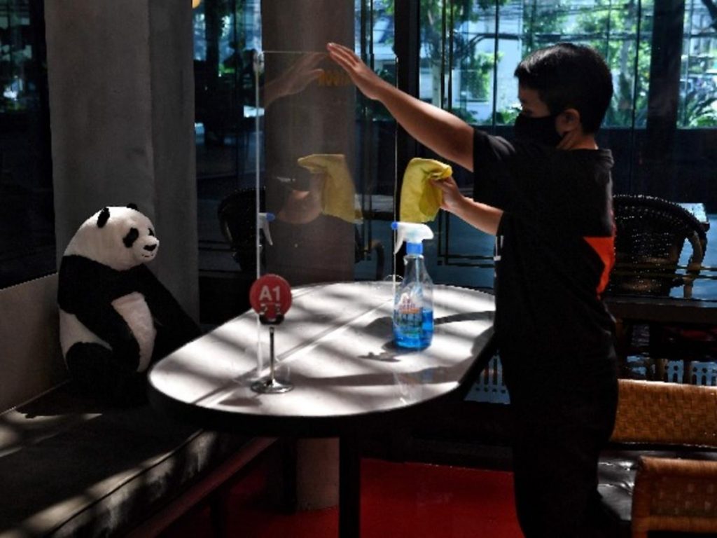 #10 | Restaurante tailandés trae pandas a la mesa para promover el distanciamiento social | Zestradar