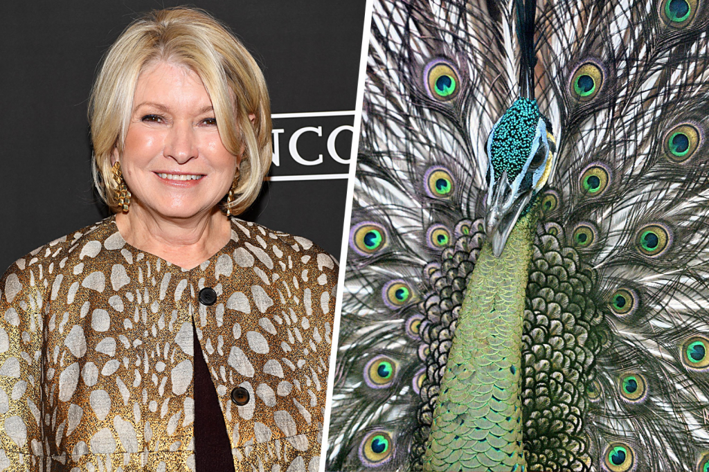 Martha Stewart - Pavos reales |: Kristen Stewart - El lobo | 10 celebridades con mascotas realmente extrañas | Zestradar