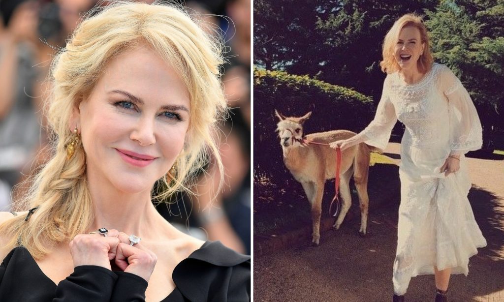 Nicole Kidman – Alpacas |: Kristen Stewart - El lobo | 10 celebridades con mascotas realmente extrañas | Zestradar