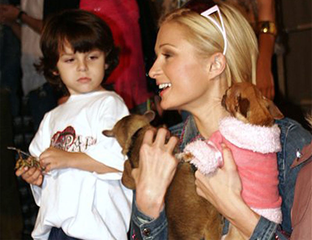Paris Hilton - Kinkajou |: Kristen Stewart - El lobo | 10 celebridades con mascotas realmente extrañas | Zestradar