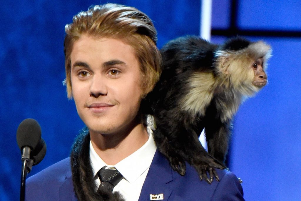 Justin Bieber - Mono |: Kristen Stewart - El lobo | 10 celebridades con mascotas realmente extrañas | Zestradar