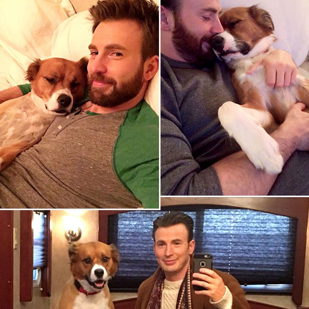 Chris Evans |: 7 actores de superhéroes son héroes de la vida real | Zestradar