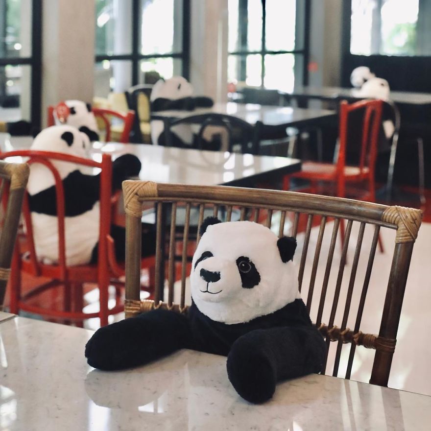 #1 Restaurante tailandés trae pandas a la mesa para promover el distanciamiento social | Zestradar