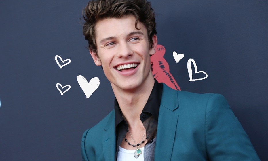Shawn Mendes |: Personas de todo el mundo eligen a los 20 hombres más guapos del mundo Zestradar