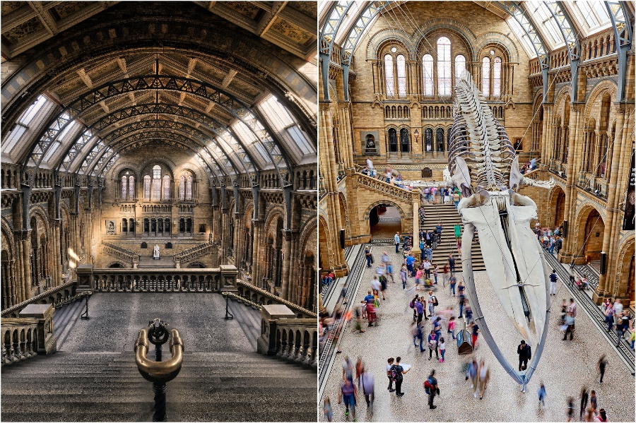Museo de Historia Natural | 12 destinos turísticos de Londres tan buenos que incluso los lugareños los aman | Zestradar