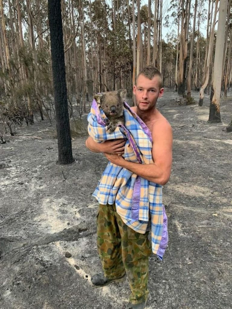 Una hermosa alma desinteresada 15 sobrevivientes de incendios forestales en Australia que te derretirán el corazón | Zestradar