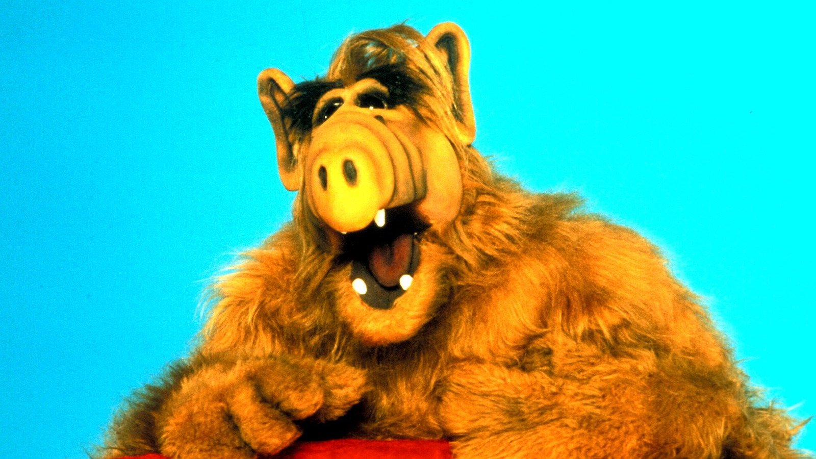 ALF | 10 personajes de televisión olvidados de los 80 | Cerebro