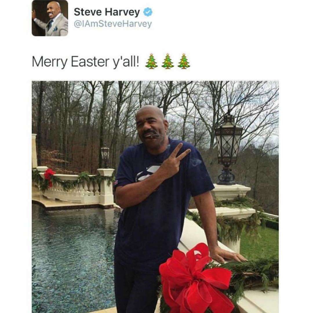 Steve Harvin | 7 personas famosas que estaban listas para reírse de ellos | Cerebro